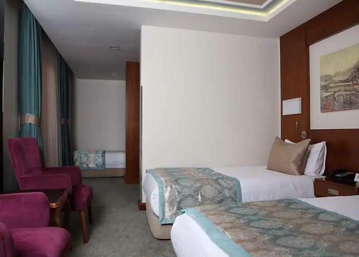 Отель Hurry Merter